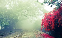 晋中雨珍建设有限公司